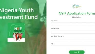 Nigeria Youth Investment Fund