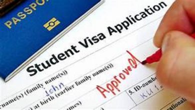 Belgian Student Visa