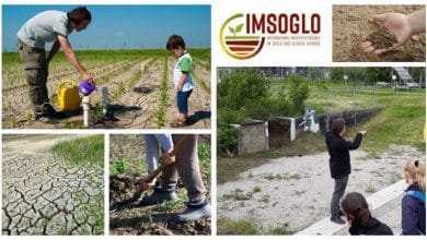 IMSOGLO Scholarships for International Students