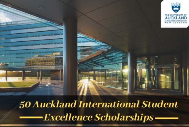 International Student Excellence Scholarships