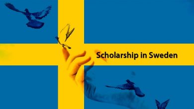 Swedish Institute Scholarships for Global Professionals