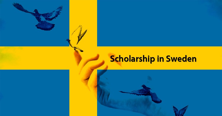 Swedish Institute Scholarships for Global Professionals